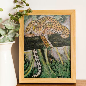 Wilderness Inherited